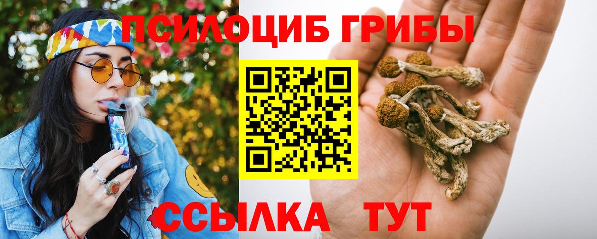 цены наркотик  Вход с VPN  Галлюциногенные грибы ЛСД  Азнакаево  Галлюциногенные грибы Magic Shrooms 